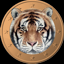 Tigercoin (TGC)